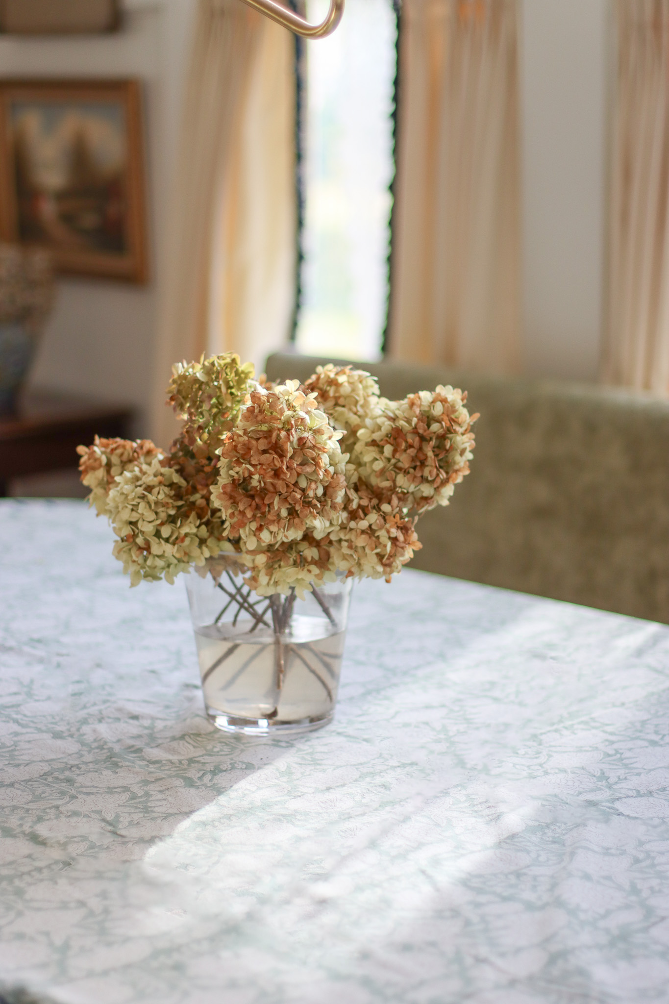 vase of dried limelight hydrangeas on a tablecloth covered table with autumn sunlight spilling through the windows
